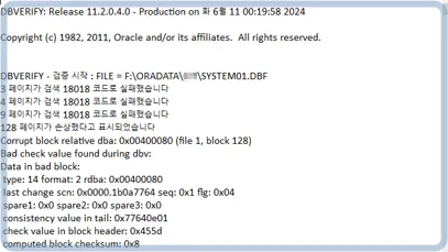 oracle-11.2.0.420-recovery__1_