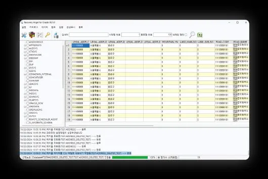 복구천사 ORACLE RECOVERY 오라클 데이터베이스 복구 솔루션 — 테이블 데이터 Excel CSV 저장 및 SQL 로더(sqlldr) 컨트롤 파일 내보내기, 삭제 데이터 추출 옵션 인터페이스 화면