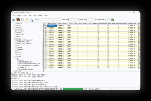 복구천사 ORACLE RECOVERY 수사기관 전용 오라클 데이터베이스 포렌식 솔루션 — 테이블 데이터 직접 조회, 삭제된 행 별도 표시 및 전 칼럼 키워드 검색 인터페이스 화면